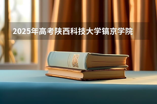 2025年高考陕西科技大学镐京学院在山东招生计划是什么