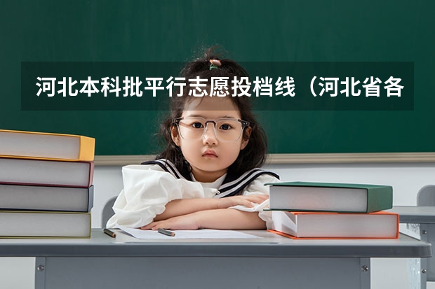 河北本科批平行志愿投档线（河北省各高校投档线）
