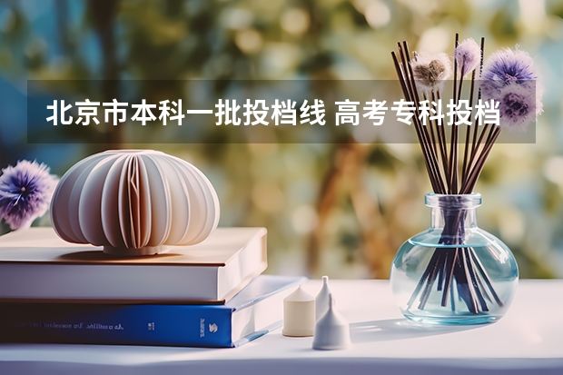 北京市本科一批投档线 高考专科投档线