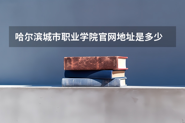 哈尔滨城市职业学院官网地址是多少