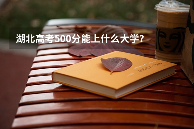 湖北高考500分能上什么大学？