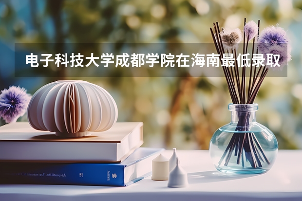 电子科技大学成都学院在海南最低录取分数线介绍