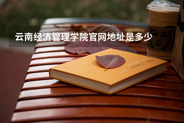 云南经济管理学院官网地址是多少