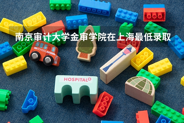 南京审计大学金审学院在上海最低录取分数线介绍