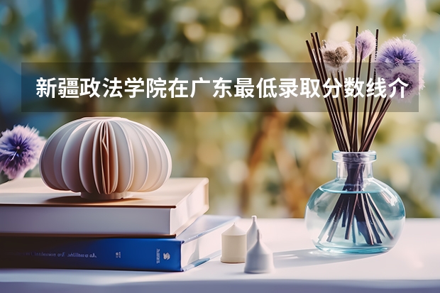 新疆政法学院在广东最低录取分数线介绍