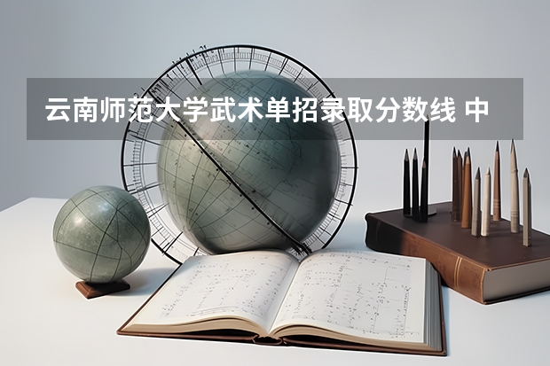 云南师范大学武术单招录取分数线 中国有武术专业的大学有那些