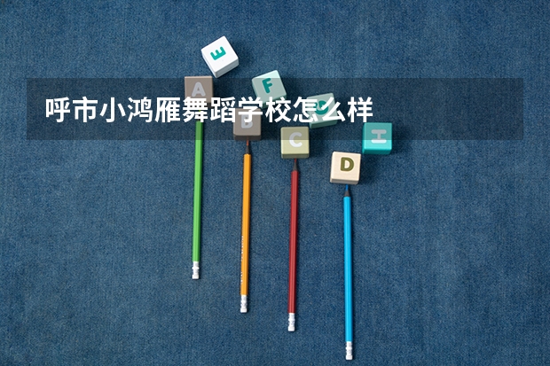 呼市小鸿雁舞蹈学校怎么样