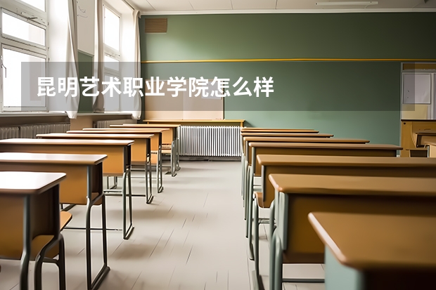 昆明艺术职业学院怎么样