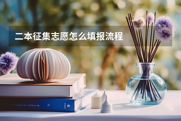 二本征集志愿怎么填报流程