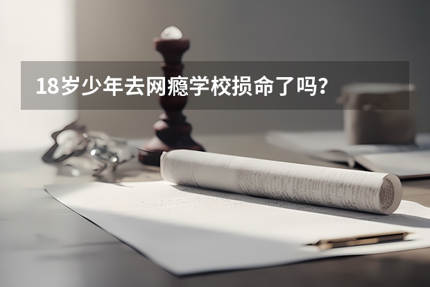18岁少年去网瘾学校损命了吗？