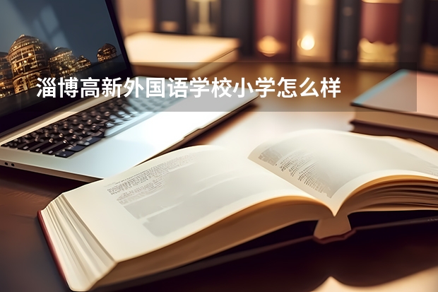 淄博高新外国语学校小学怎么样