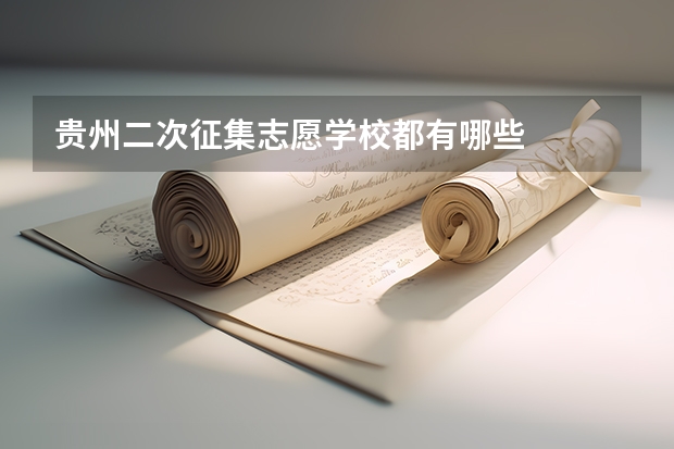 贵州二次征集志愿学校都有哪些