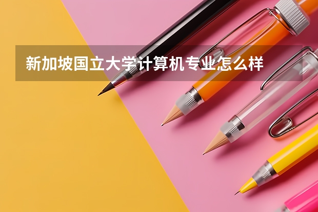 新加坡国立大学计算机专业怎么样