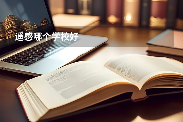 遥感哪个学校好