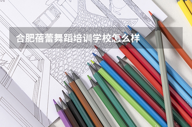 合肥蓓蕾舞蹈培训学校怎么样
