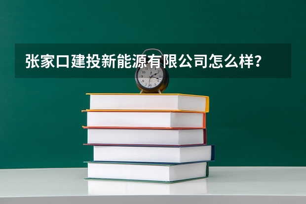 张家口建投新能源有限公司怎么样？