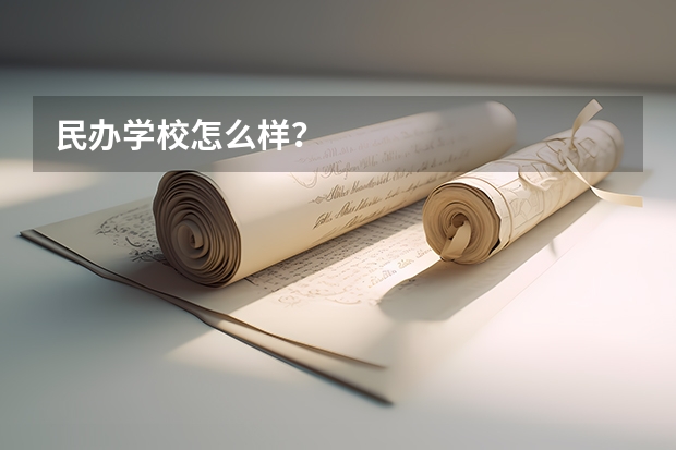 民办学校怎么样？