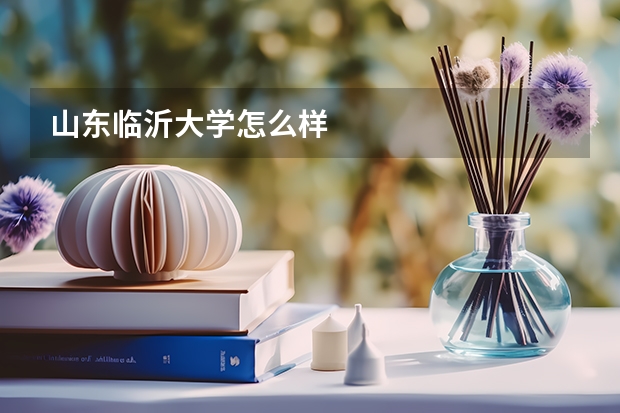 山东临沂大学怎么样