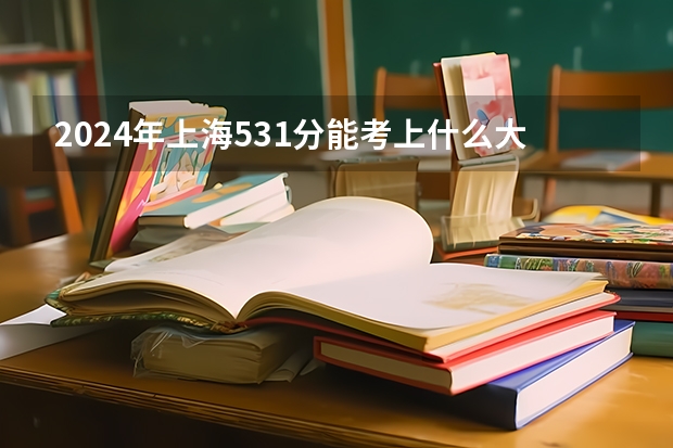 2024年上海531分能考上什么大学?