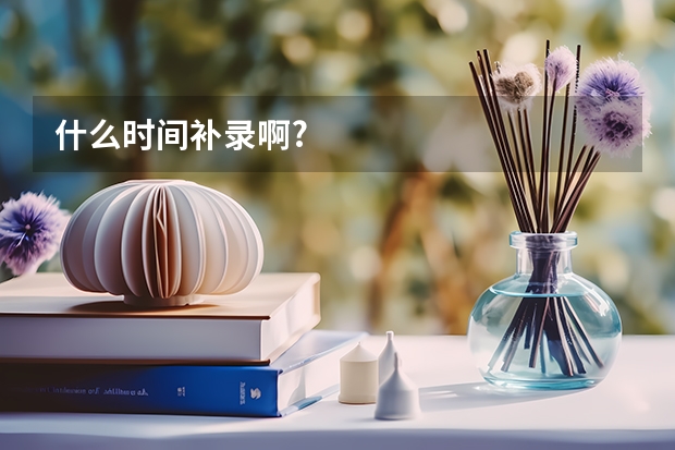 什么时间补录啊?
