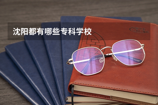 沈阳都有哪些专科学校