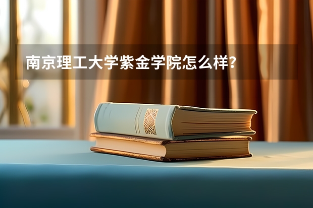 南京理工大学紫金学院怎么样？