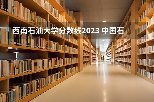 西南石油大学分数线2023 中国石油大学华东考研分数线2023