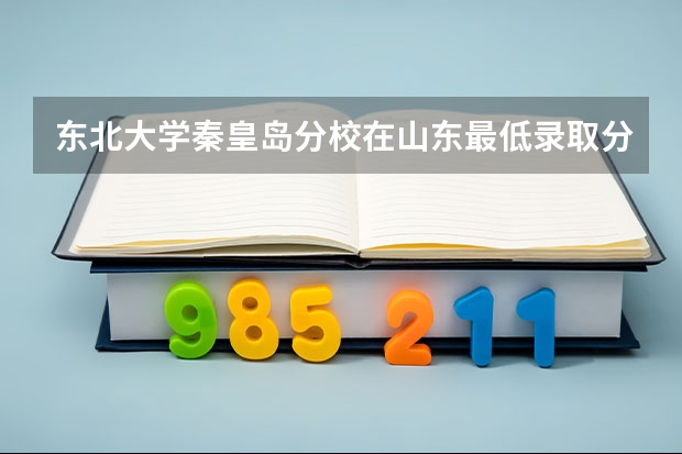 东北大学秦皇岛分校在山东最低录取分数线介绍