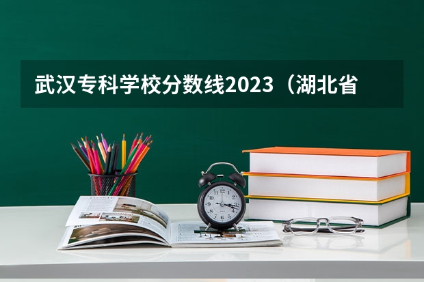 武汉专科学校分数线2023（湖北省技能高考2023各学校分数线）
