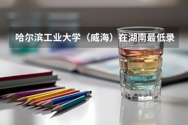 哈尔滨工业大学（威海）在湖南最低录取分数线介绍