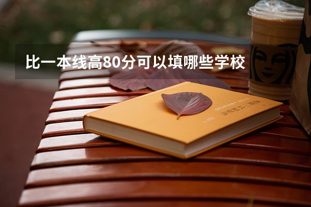比一本线高80分可以填哪些学校