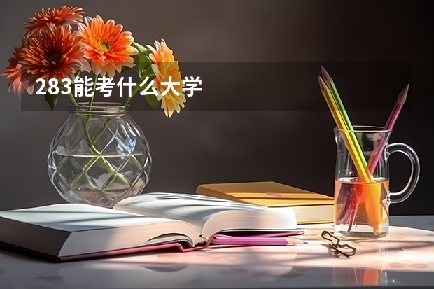 283能考什么大学