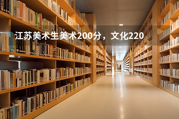 江苏美术生美术200分，文化220，能上什么学校？