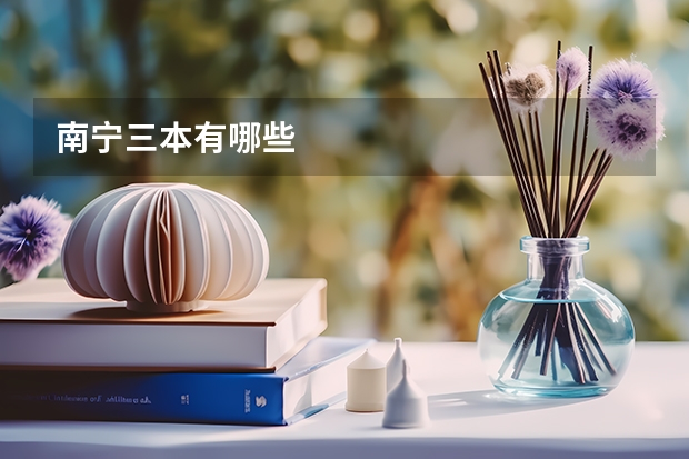 南宁三本有哪些