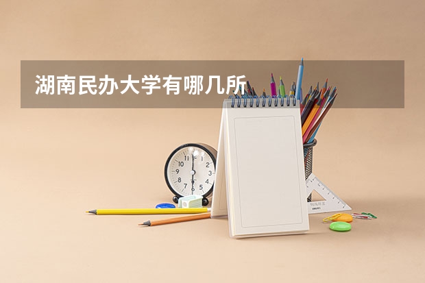 湖南民办大学有哪几所