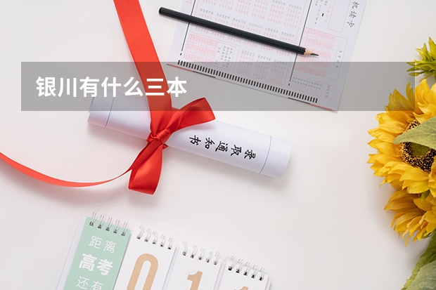 银川有什么三本