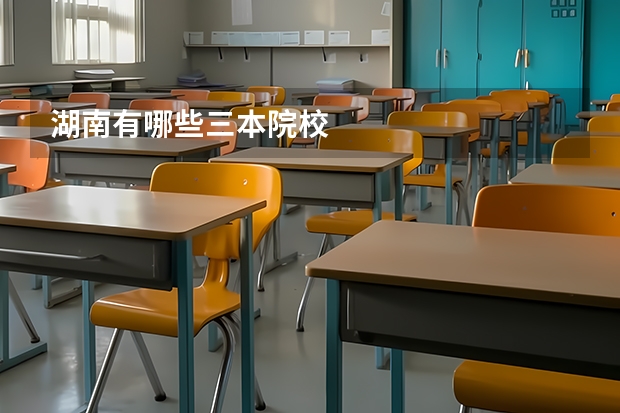 湖南有哪些三本院校