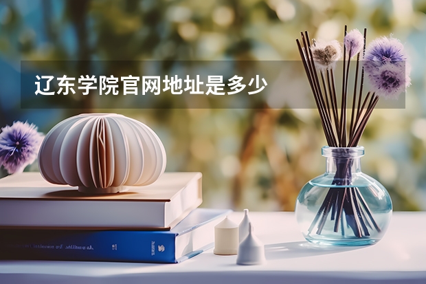 辽东学院官网地址是多少