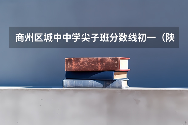 商州区城中中学尖子班分数线初一（陕西09年高考理科360分能上陕西哪所公办专科学校）