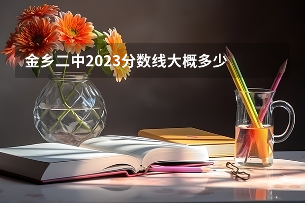 金乡二中2023分数线大概多少