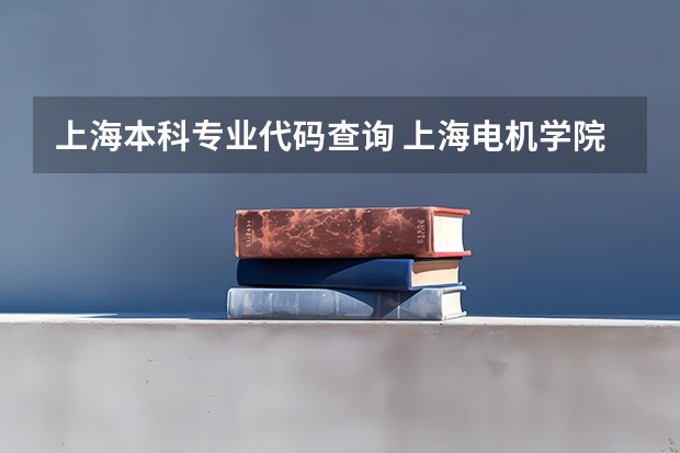 上海本科专业代码查询 上海电机学院代码
