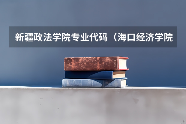 新疆政法学院专业代码（海口经济学院学校代码，专业是会计，和工程造价专业代码）