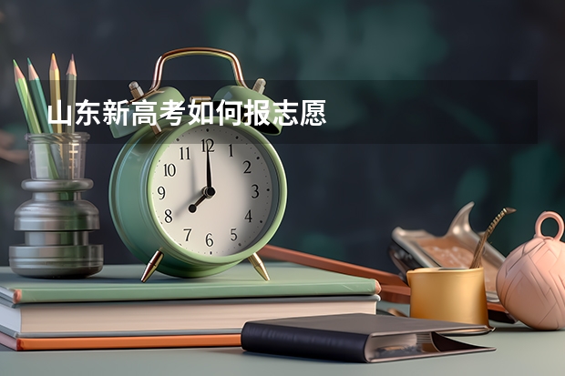山东新高考如何报志愿