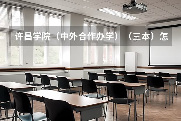 许昌学院（中外合作办学）（三本）怎么样？