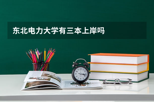 东北电力大学有三本上岸吗