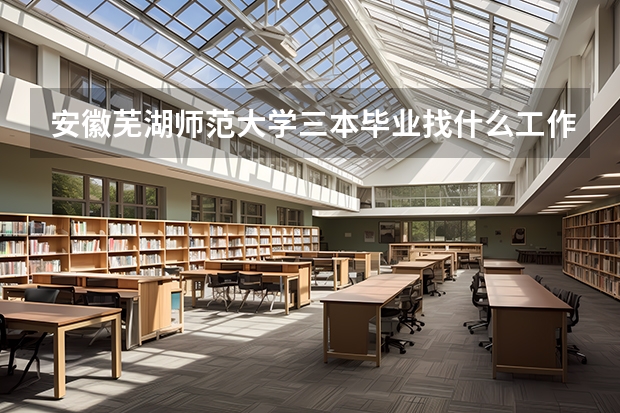 安徽芜湖师范大学三本毕业找什么工作