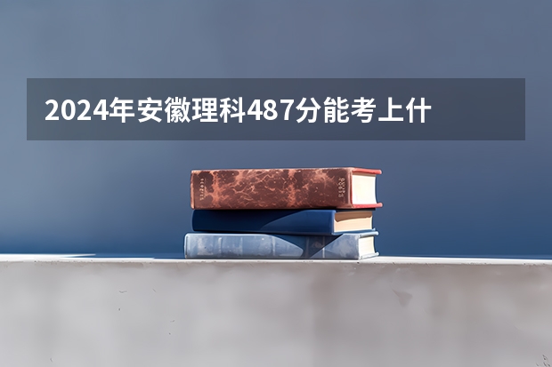 2024年安徽理科487分能考上什么大学？