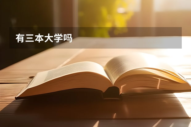 有三本大学吗