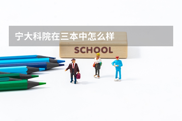 宁大科院在三本中怎么样