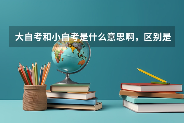 大自考和小自考是什么意思啊，区别是什么？